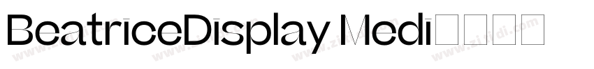 BeatriceDisplay Medi字体转换
